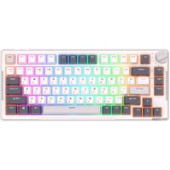 Клавиатура Royal Kludge RK-H81 RGB White Night (RK Blue)