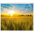 Проекционный экран Lumien Eco Picture 115x180 LEP-100121