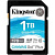 Карта памяти Kingston Canvas Go! Plus SDXC 1TB