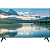 Телевизор Blackton Bt 32FS03B