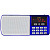 Радиоприемник Perfeo Егерь i120-BL