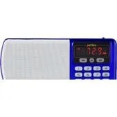 Радиоприемник Perfeo Егерь i120-BL