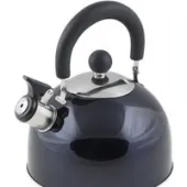 Чайник со свистком Perfecto Linea Holiday 52-121516 (синий металлик)