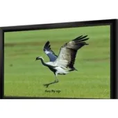 Проекционный экран Seemax Highland 4:3 305x229 FH150VPM