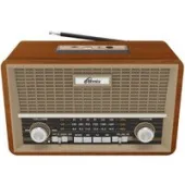 Радиоприемник Ritmix RPR-111