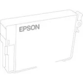 Чернила Epson C13T49N300