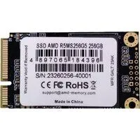 SSD AMD Radeon R5 256GB R5MS256G5 SSD AMD Radeon R5 256GB R5MS256G5