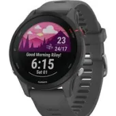 Умные часы Garmin Forerunner 255 (сланцево-серый/черный)