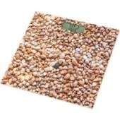 Напольные весы Sencor SBS 2302SN