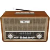 Радиоприемник Ritmix RPR-111