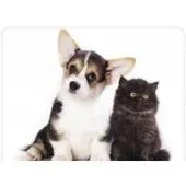 Коврик для мыши Buro BU-M40095