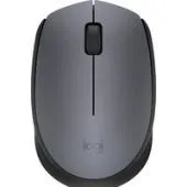 Мышь Logitech M171 (графит)