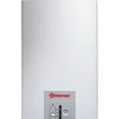 Отопительный котел Thermex EuroStyle F24