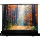 Проекционный экран CACTUS FloorExpert 68x120 CS-PSFLE-120X68