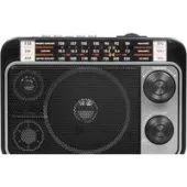 Радиоприемник Ritmix RPR-171