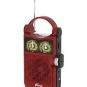 Радиоприемник Ritmix RPR-303