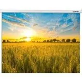 Проекционный экран Lumien Eco Picture 142x200 LEP-100117