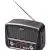 Радиоприемник Ritmix RPR-065