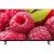 Телевизор Harper 32F720TS