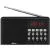 Радиоприемник Ritmix RPR-001 (черный)