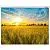 Проекционный экран Lumien Eco Picture 128x171 LEP-100112