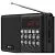 Радиоприемник Ritmix RPR-001 (черный)
