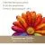 Телевизор Dreame 32Q10