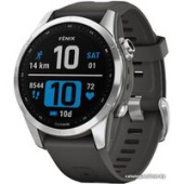 Умные часы Garmin Fenix 7S (серебристый/графитовый)