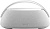 Беспроводная колонка Harman/Kardon Go + Play 3 (серый)